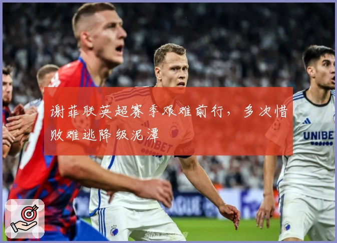 谢菲联英超赛季艰难前行，多次惜败难逃降级泥潭