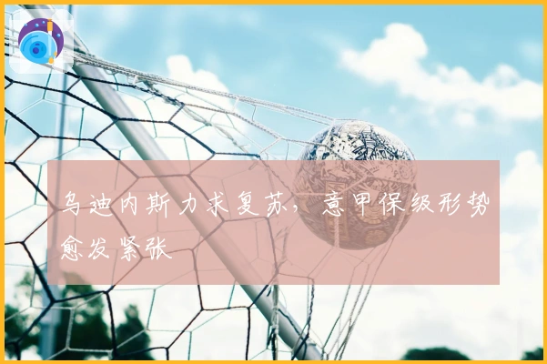 乌迪内斯力求复苏，意甲保级形势愈发紧张