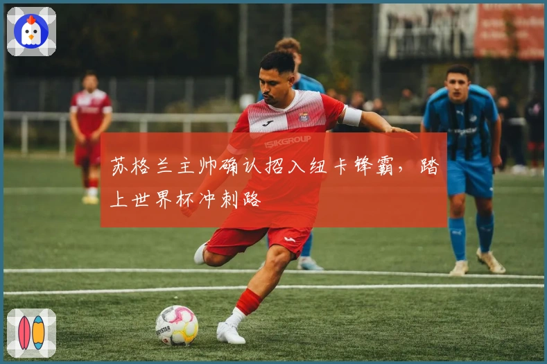 苏格兰主帅确认招入纽卡锋霸，踏上世界杯冲刺路