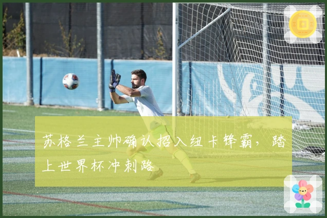 苏格兰主帅确认招入纽卡锋霸，踏上世界杯冲刺路