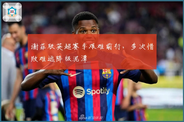 谢菲联英超赛季艰难前行，多次惜败难逃降级泥潭